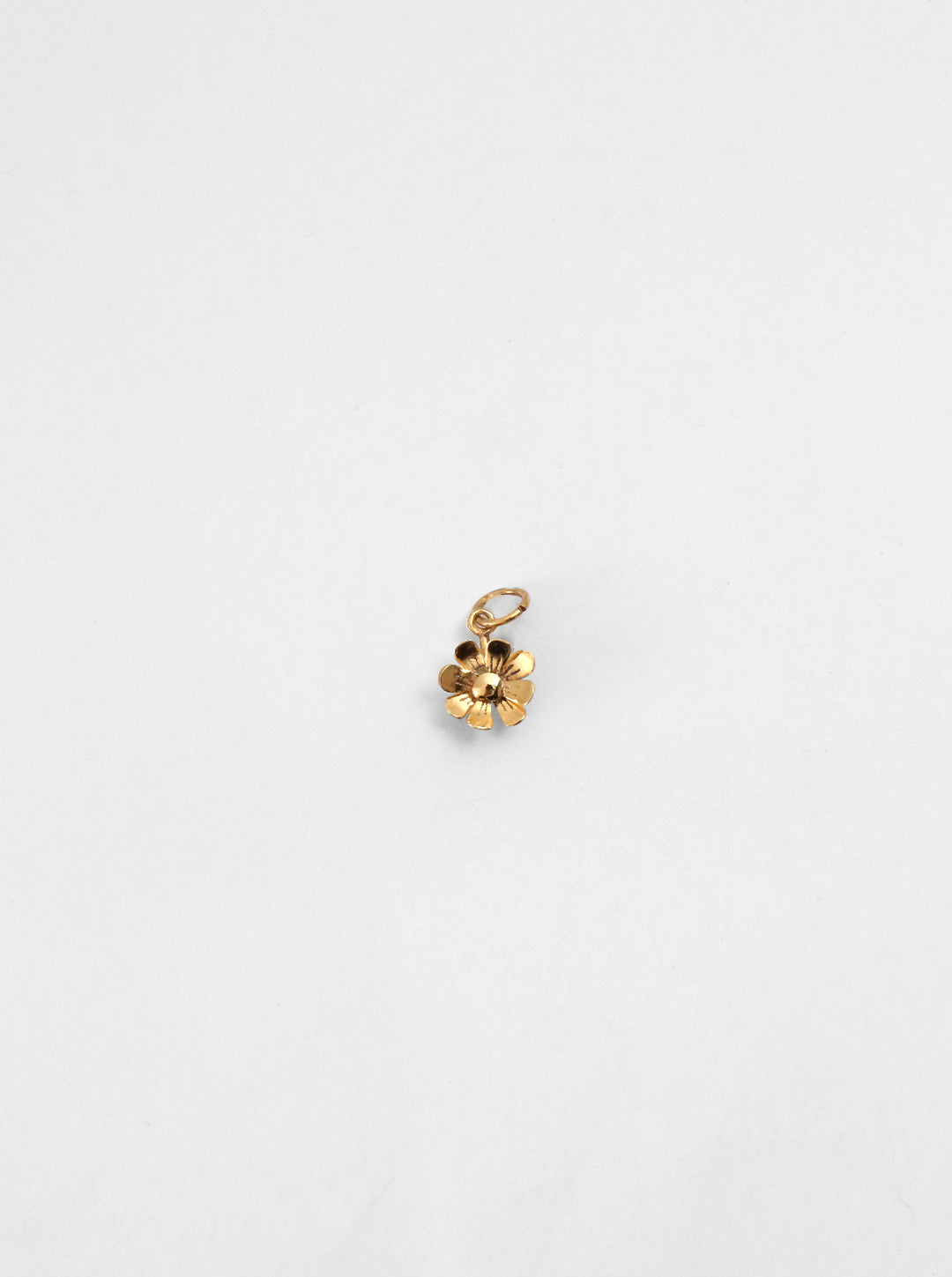 Cosmos Charm