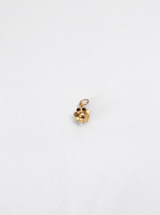Cosmos Charm