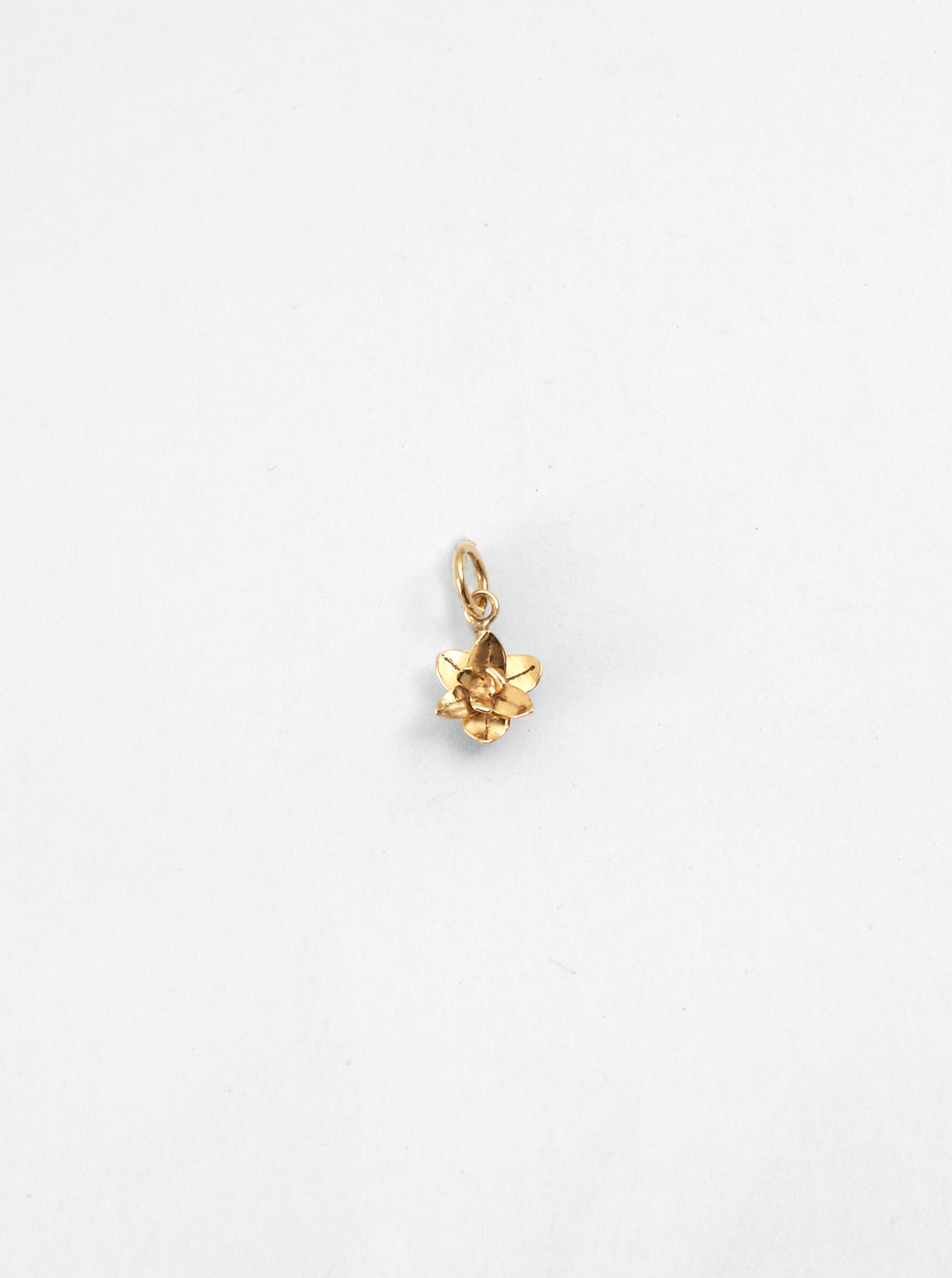 Daffodil Charm